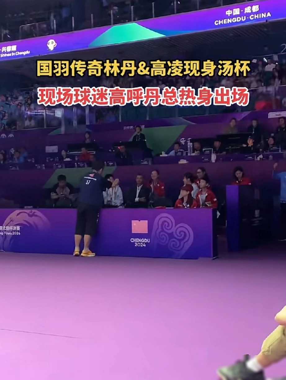 开云在线直播-包含法国羽毛球队强势中国羽毛球队，陶菲克绝境逆转的词条